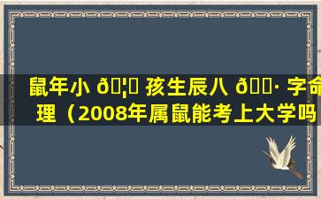 鼠年小 🦋 孩生辰八 🌷 字命理（2008年属鼠能考上大学吗）